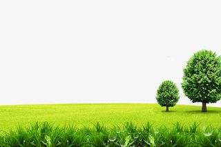 春意盎然的春天免抠