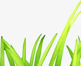 春天环保绿叶小草免抠