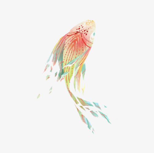 鲤鱼免抠