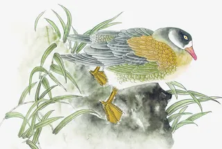 鸟类栖息国画免抠