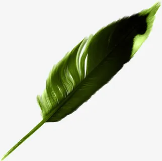 绿色羽毛毛笔免抠