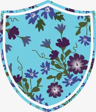 矢量图现代盾牌免抠