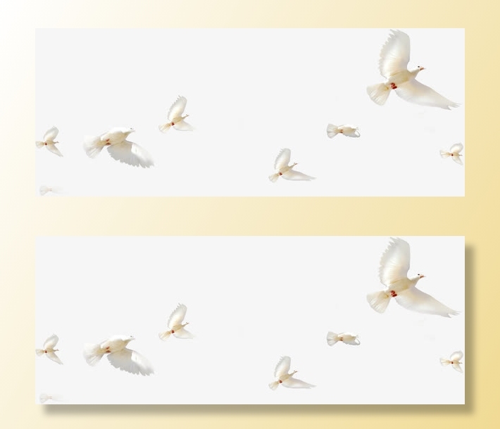 白色春天白鸽飞翔免抠装饰动物元素