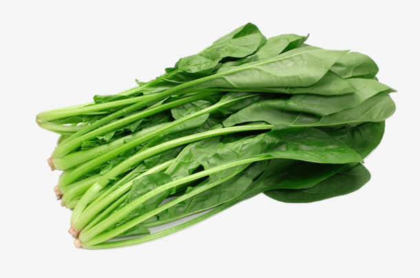 新鲜的菠菜免抠