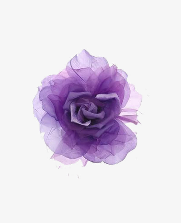 怒放的紫色木芙蓉花免抠
