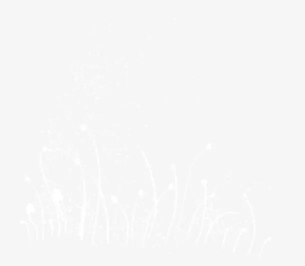 白色花纹花朵装饰图案免抠