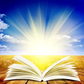 翻开的书本与光芒免抠