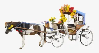 鲜花四轮马车免抠