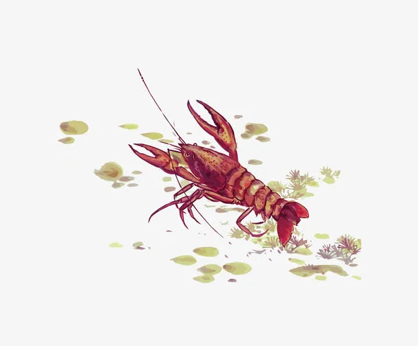 矢量小龙虾免抠