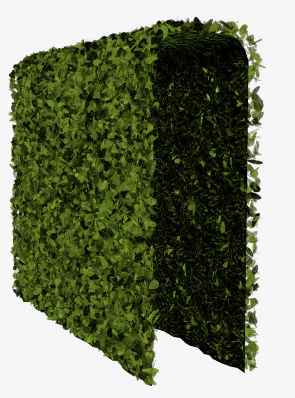 绿色植物免抠