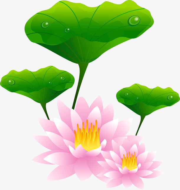 手绘荷花免抠