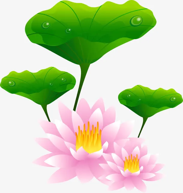 手绘荷花免抠