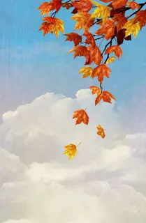 秋天落叶与天空免抠