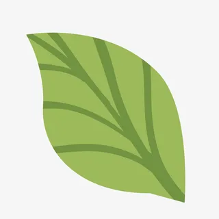 卡通简笔画绿叶免抠免抠