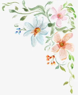 手绘卡通装饰花瓣花草装饰海报设免抠