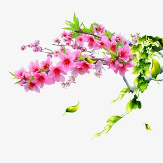 粉色桃花图案免抠动植物植物元素