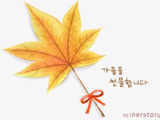 枫叶免抠漂浮叶子元素