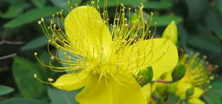 淘宝背景图高清