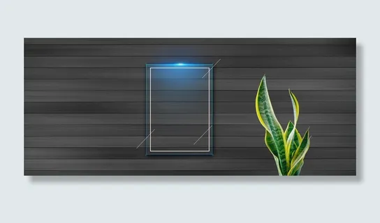 大气黑色质感绿植背景高清