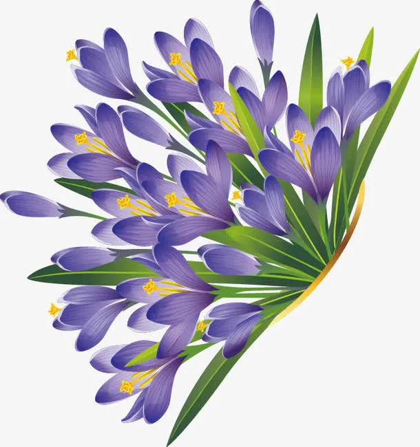 春暖花开免抠