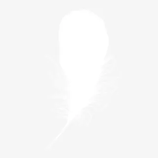 白色的羽毛免抠