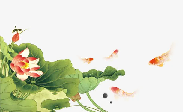 荷花免抠