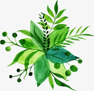 春季生机勃勃的叶子免抠