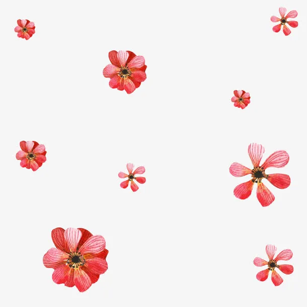 唯美浪漫飘落花朵免抠