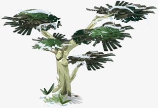 卡通树木树木免抠