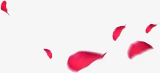 妇女节三八节玫瑰花花瓣免抠