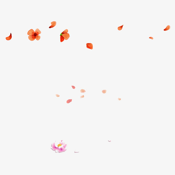 花瓣漂浮物免抠