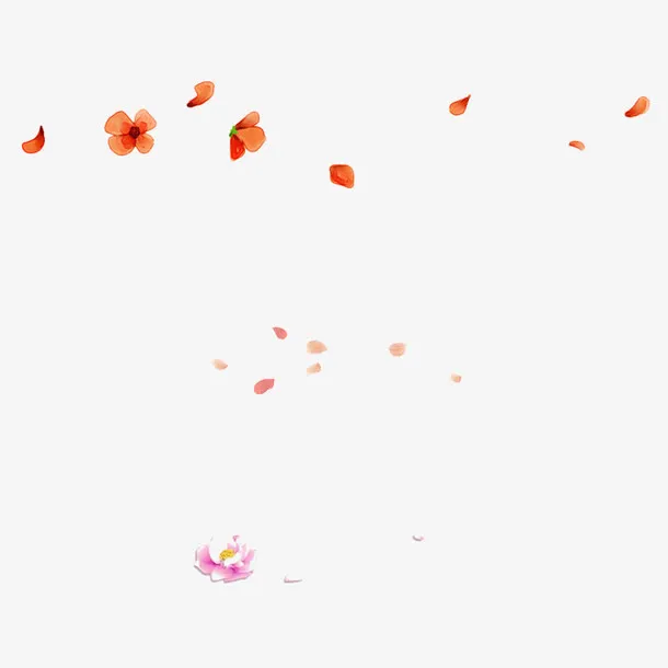 花瓣漂浮物免抠