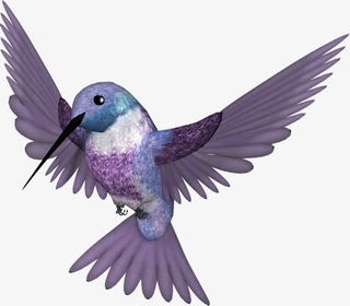 卡通手绘尖嘴鸟免抠