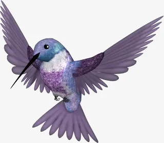 卡通手绘尖嘴鸟免抠