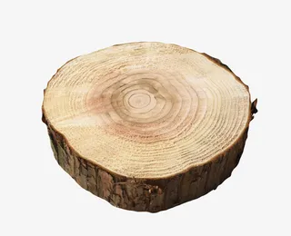 卡其色圆环纹理木头截面实物免抠