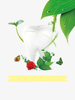 牙齿免抠 牙齿免抠