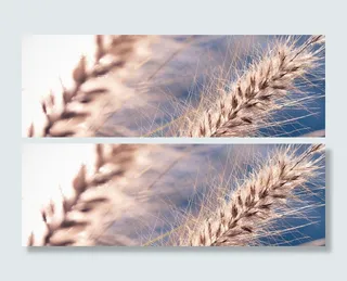 高清淘宝海报Banner 免费下载高清