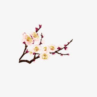 手绘桃花白色桃花免抠