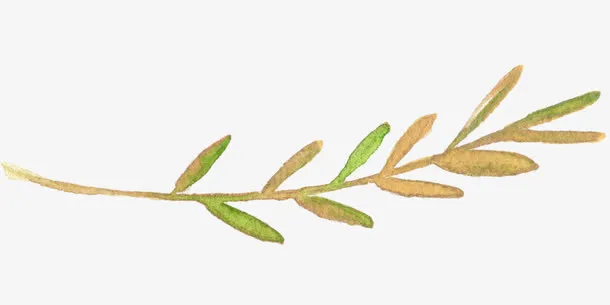 手绘叶子边框免抠