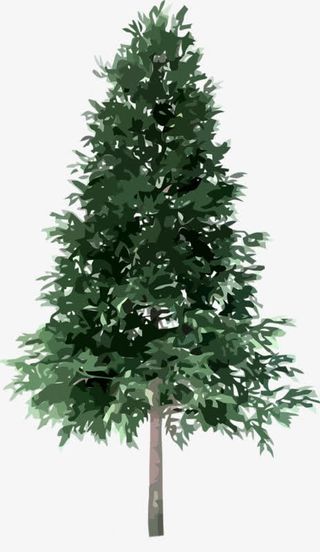 绿色树枝树木免抠免抠