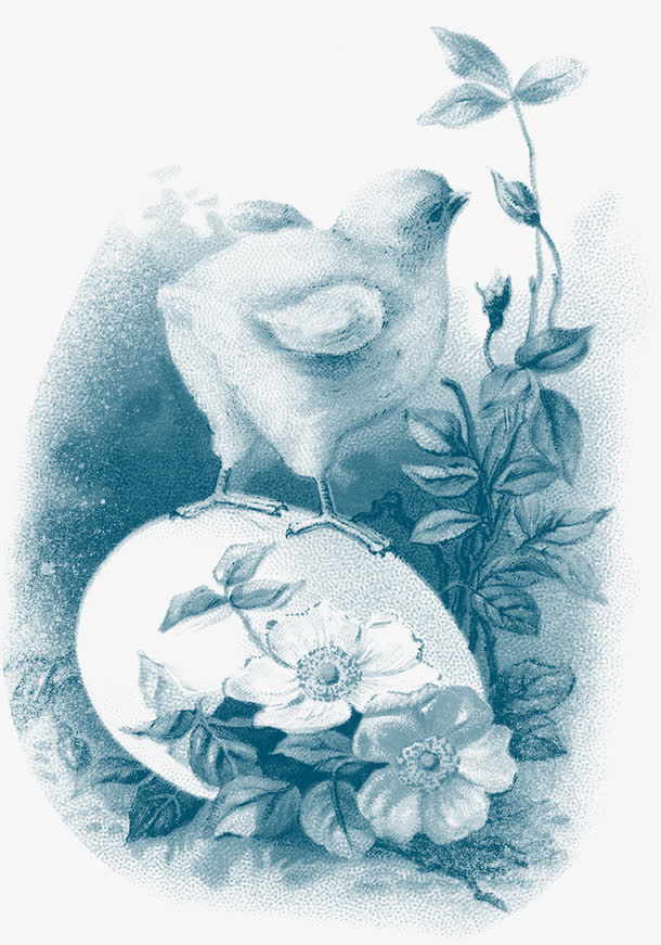 手绘复古素描花朵免抠