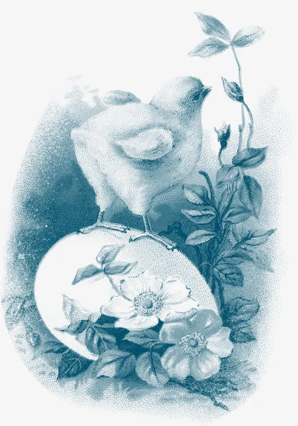 手绘复古素描花朵免抠