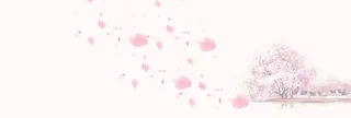 桃花节花瓣简约梦幻文艺粉banner免费高清