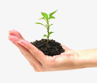 托着禾苗和泥土的手势免抠