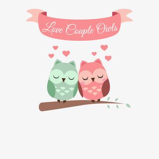 手绘猫头鹰免抠