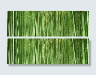 大气竹林风景淘宝海报背景