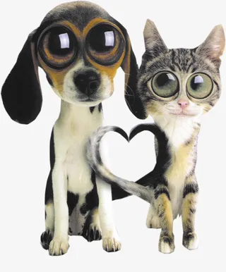 花草标签鲜花花卉免抠