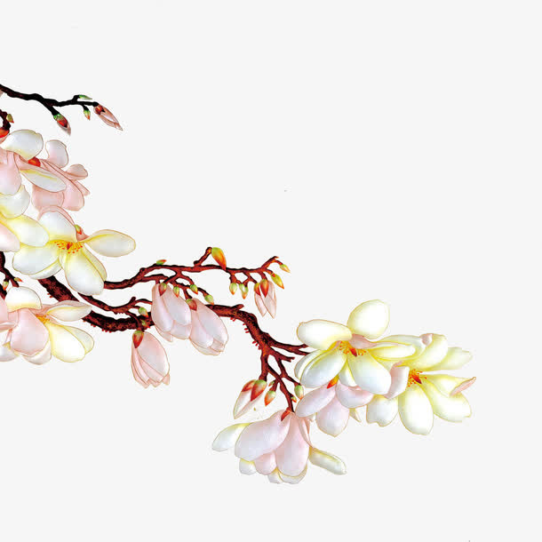 彩雕玉兰花免费图片免抠