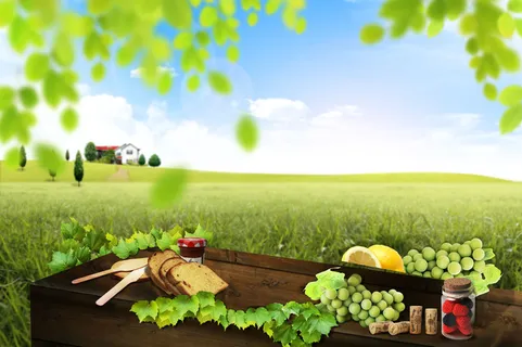 蓝天草地背景素材高清