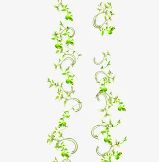 背景装饰 绿色 花纹  春天